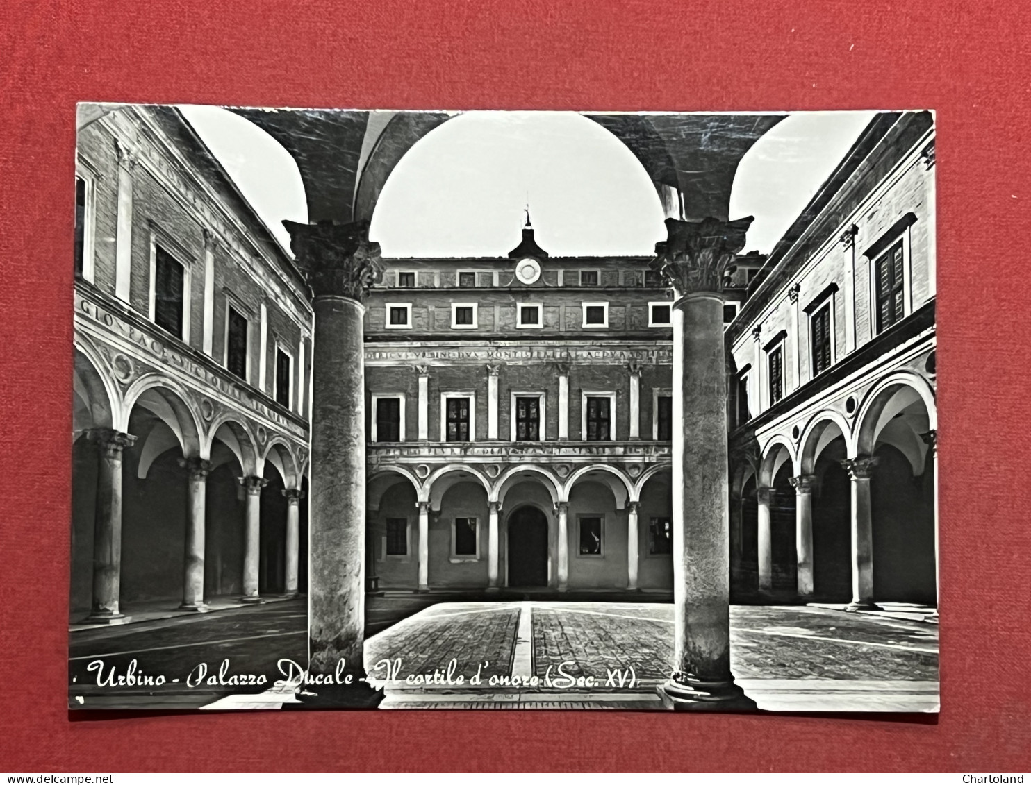 Cartolina - Urbino - Palazzo Ducale - Il Cortile D'Onore - 1964 - Urbino