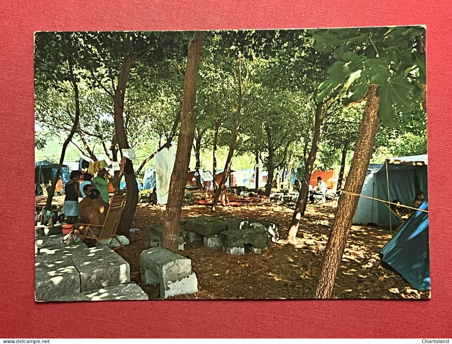 Cartolina - Santa Caterina Di Pittinuri ( Cuglieri ) - La Pineta - Camping 1970 - Oristano