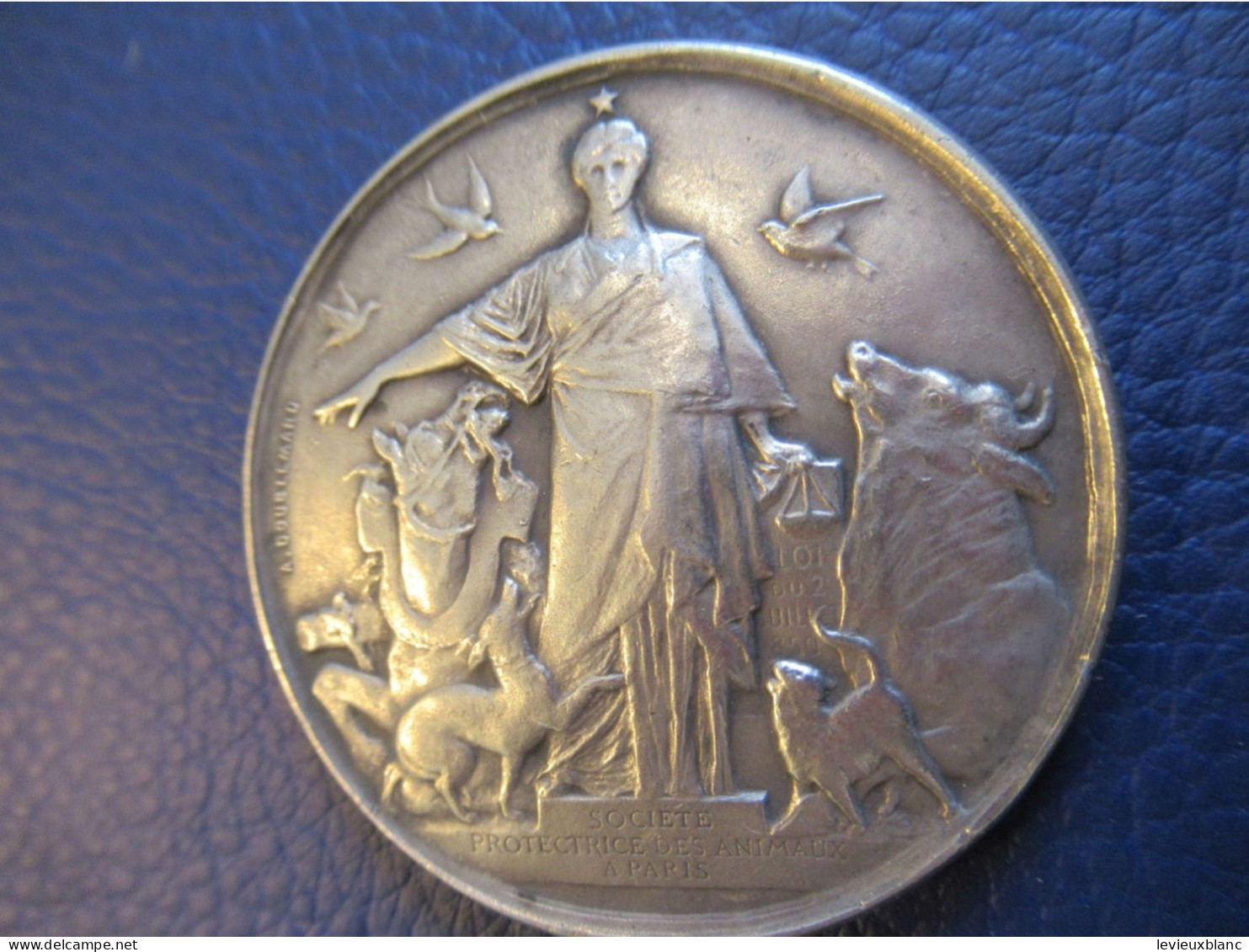 Médaille De Reconnaissance/ Attribuée/Société Protectrice Des Animaux à Paris /ARGENT/Poinçon/ 1907   MED446 - France