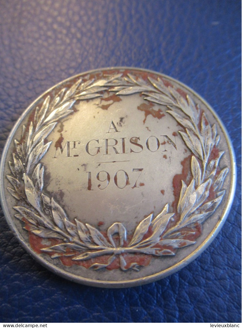 Médaille De Reconnaissance/ Attribuée/Société Protectrice Des Animaux à Paris /ARGENT/Poinçon/ 1907   MED446 - Frankreich