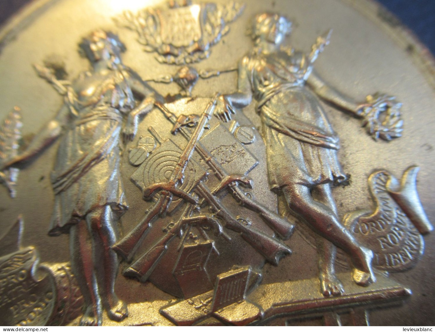 Grande Médaille Société De Tir/Si Vis Pacem Para Bellum/Si Tu Veux La Paix Prépare  /Bronze Argenté/ Fin XIXème   MED447 - France
