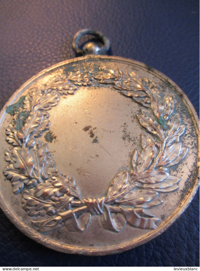 Grande Médaille Société De Tir/Si Vis Pacem Para Bellum/Si Tu Veux La Paix Prépare  /Bronze Argenté/ Fin XIXème   MED447 - Francia