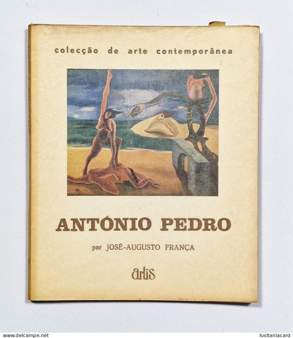 Colecção de Arte Contemporânea (20 VOLUMES) ( Edição Artis )