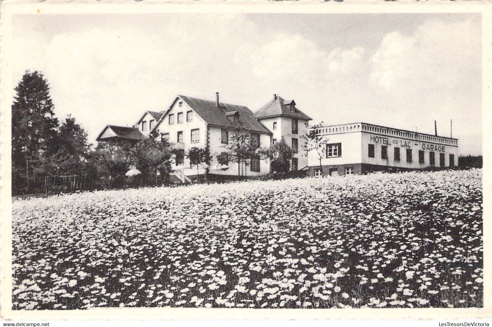 BELGIQUE - ROBERTVILLE - Hôtel Du Lac - Carte Postale Ancienne - Waimes - Weismes