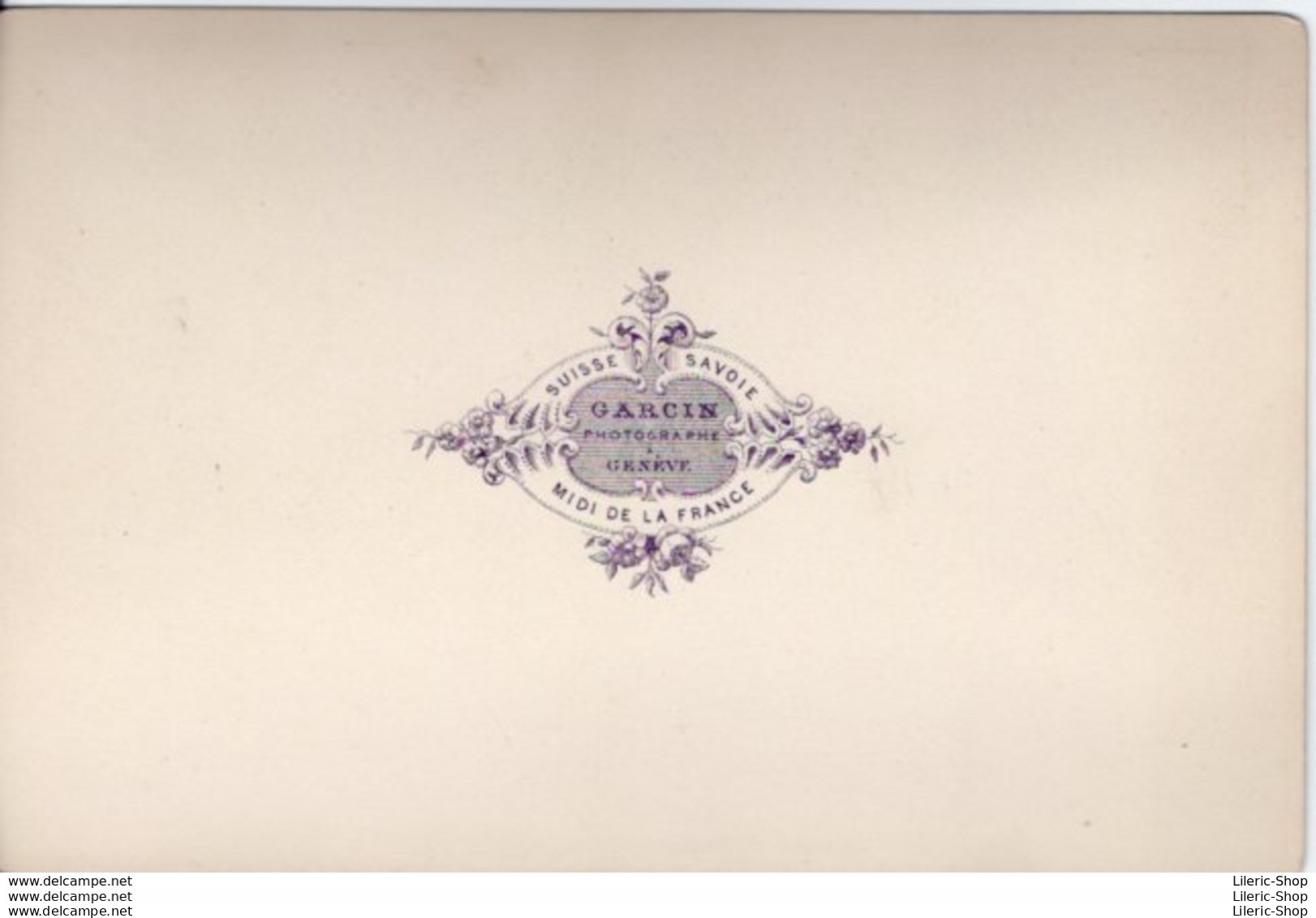 LE MONT-BLANC  VUE DE LA FLÉGÈRE VERS 1880 - PHOT. GARCIN - PAPIER ALBUMINÉ SUPPORT CARTON 165 X108 - Places