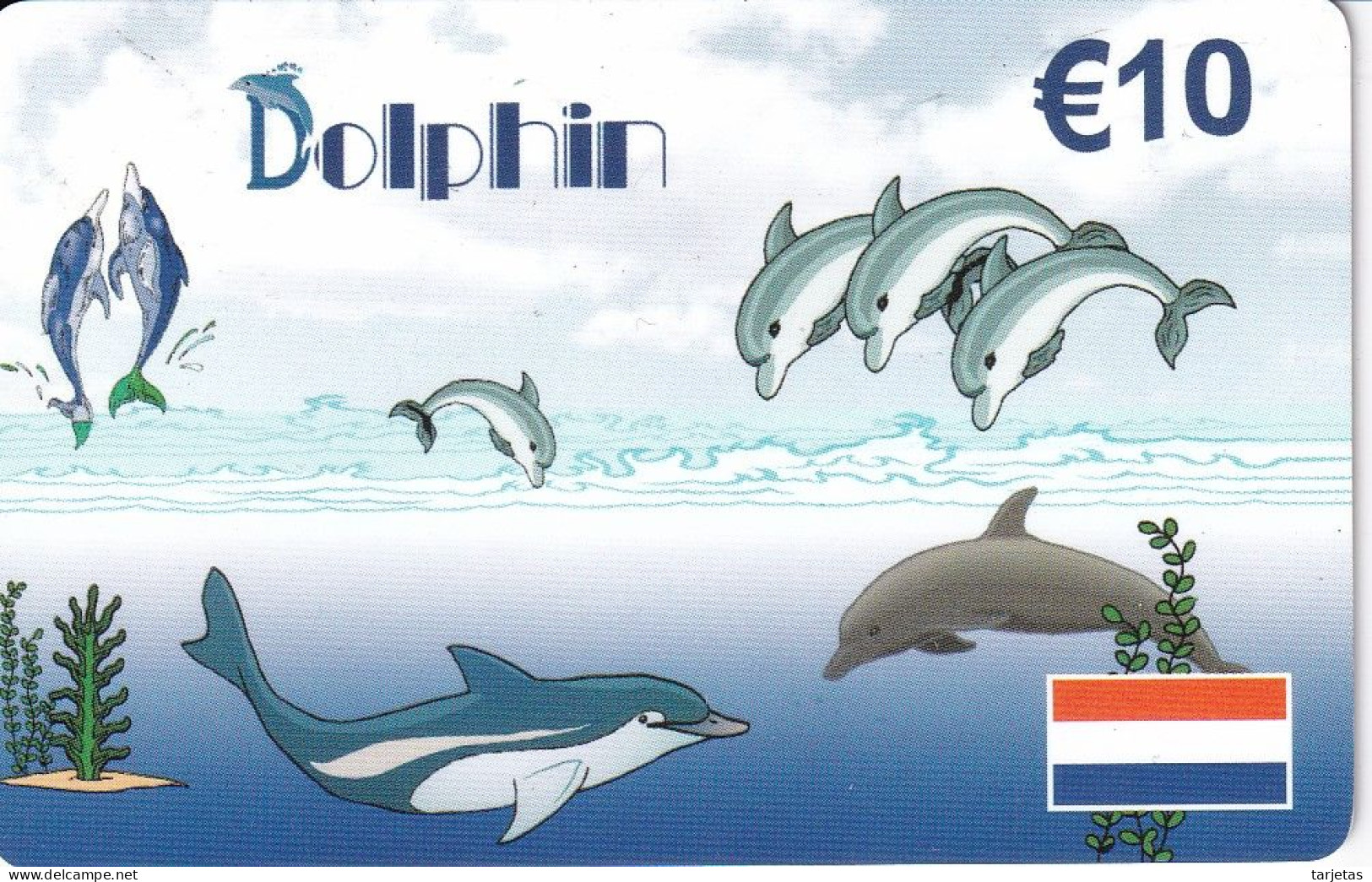 TARJETA DE HOLANDA DE UN DELFIN (DOLPHIN) - Other & Unclassified