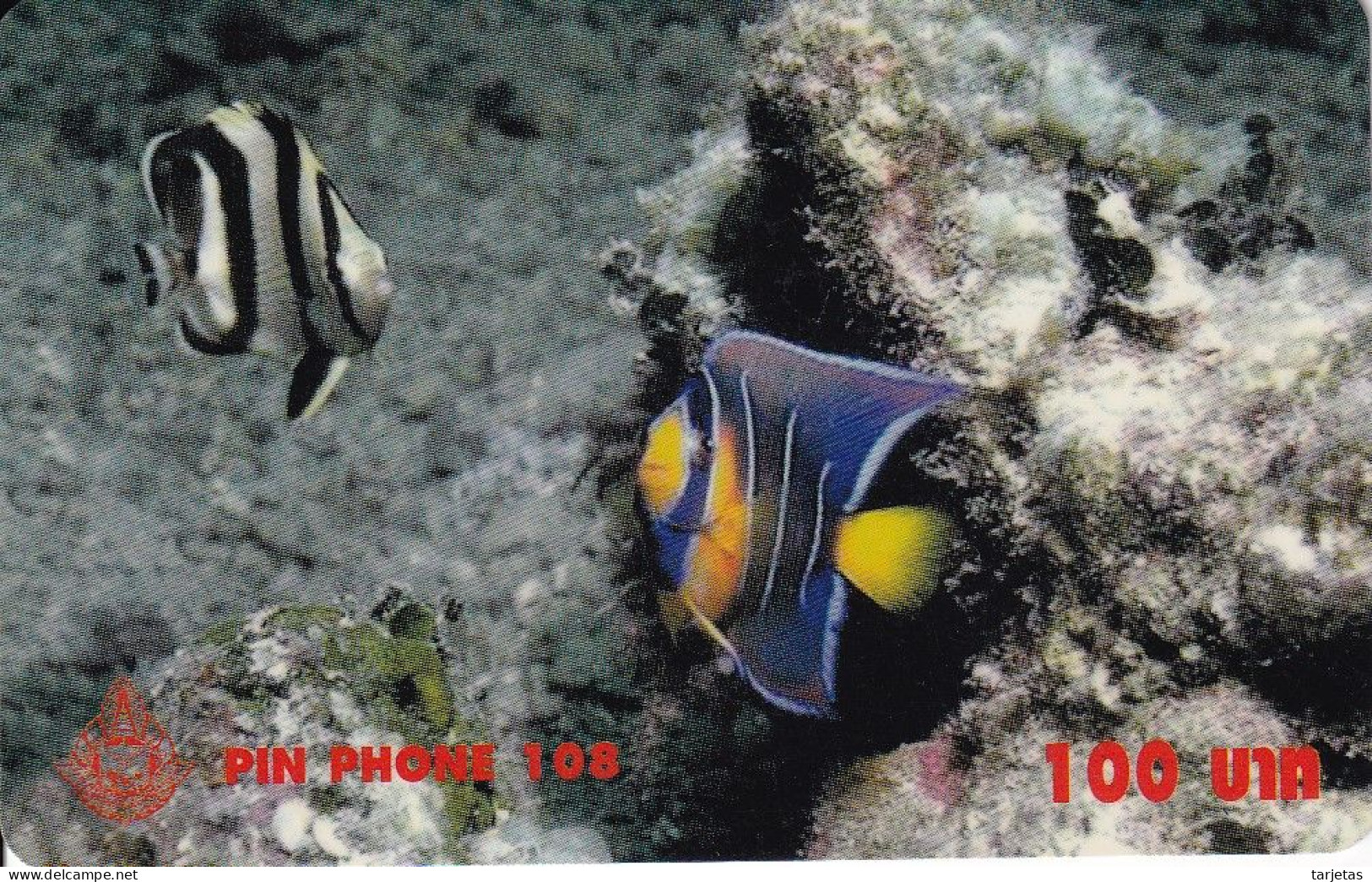 TARJETA DE TAILANDIA DE UNOS PECES (PEZ-FISH) - Fish