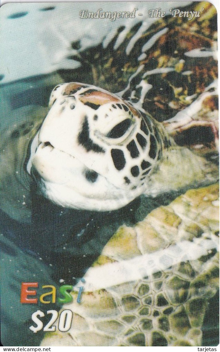 TARJETA DE BRUNEI DE UNA TORTUGA  (TURTLE) - Tortues