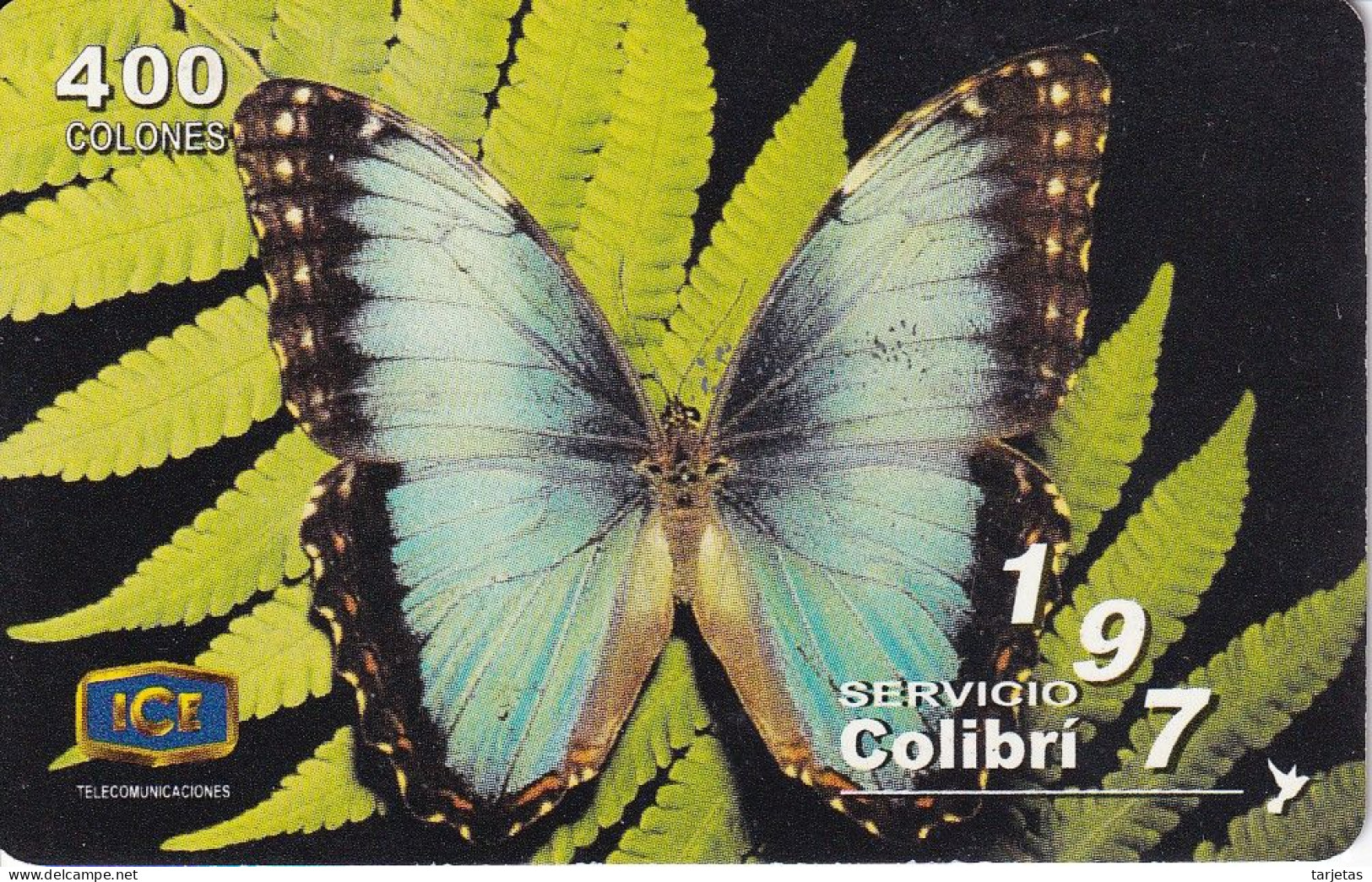 TARJETA DE COSTA RICA DE UNA MARIPOSA  (BUTTERFLY) - Costa Rica