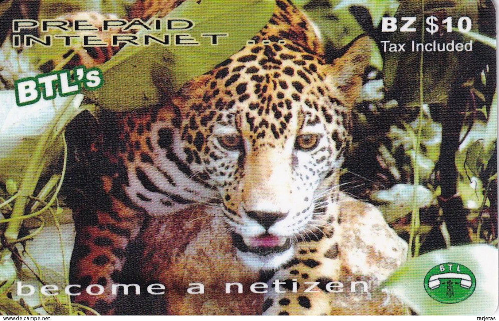 TARJETA DE BELICE DE UN LEOPARDO (LEOPARD-PANTHER) - Other & Unclassified