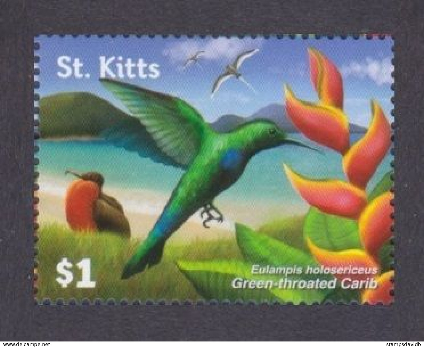 2015 St Kitts 1497 Birds - Spechten En Klimvogels