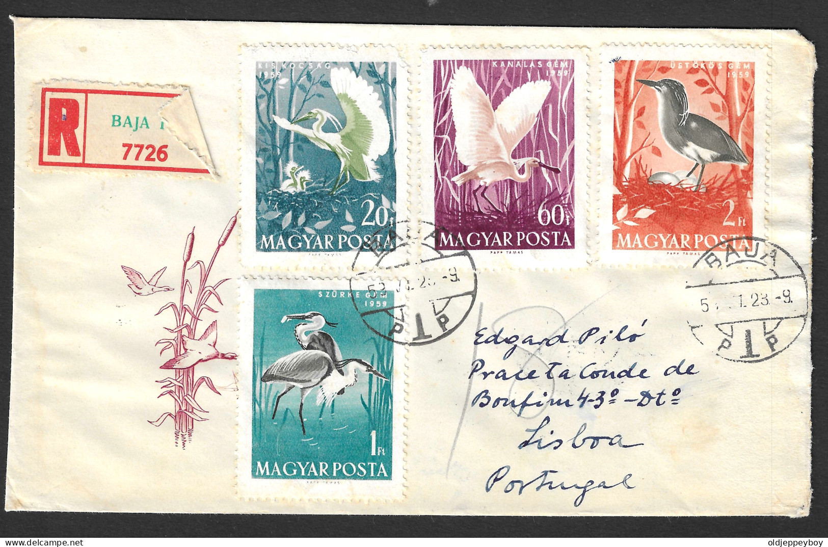 EGRETS, SPOONBILLS, HERONS, BIRDS, REGISTERED COVER FDC, 1959, HUNGARY BAJA TO PORTUGAL  - Storchenvögel