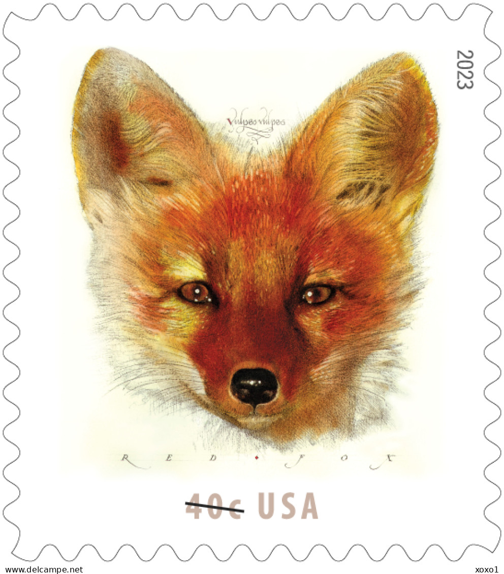 USA 2023 MiNr. 6000 BA Art, Painting, Illustration, Mammals, Red Fox M\sh MNH ** 20,00 € - Gravuren