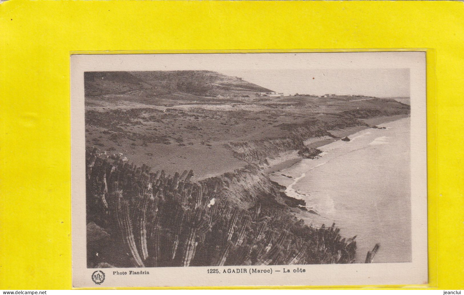 1225.  AGADIR  .  LA COTE  .  CARTE NON ECRITE - Agadir