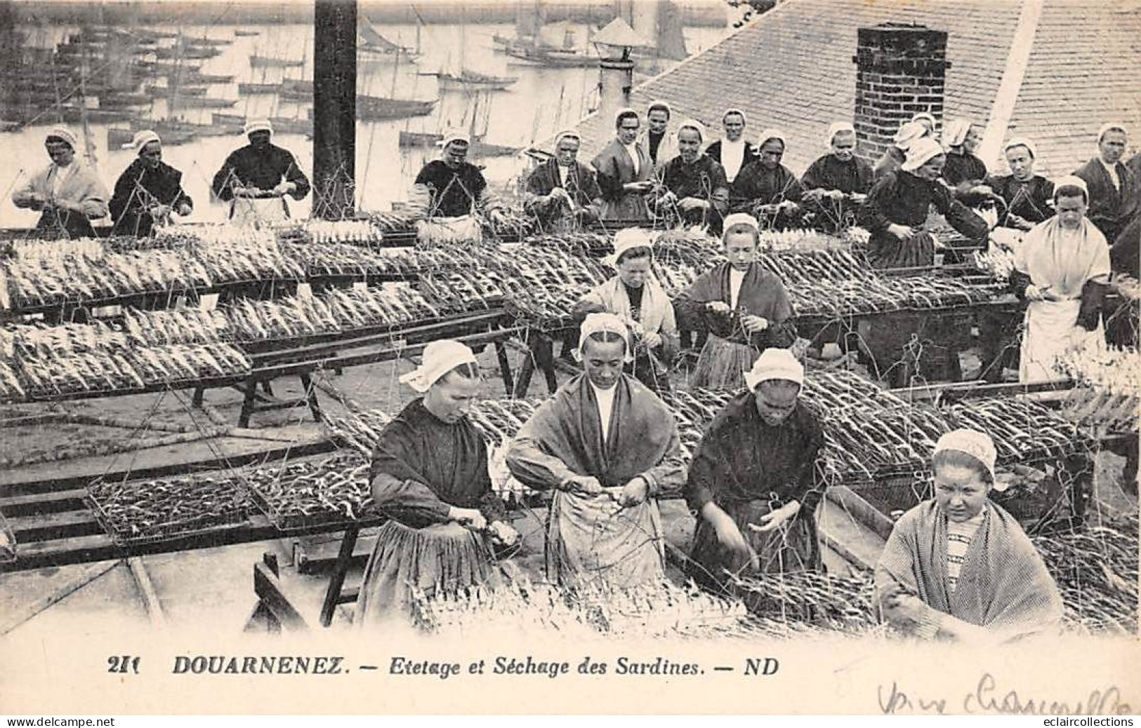 Douarnenez     29     Usine Chancerelle.. Etétage Et Séchage Des Sardines      (voir Scan) - Douarnenez