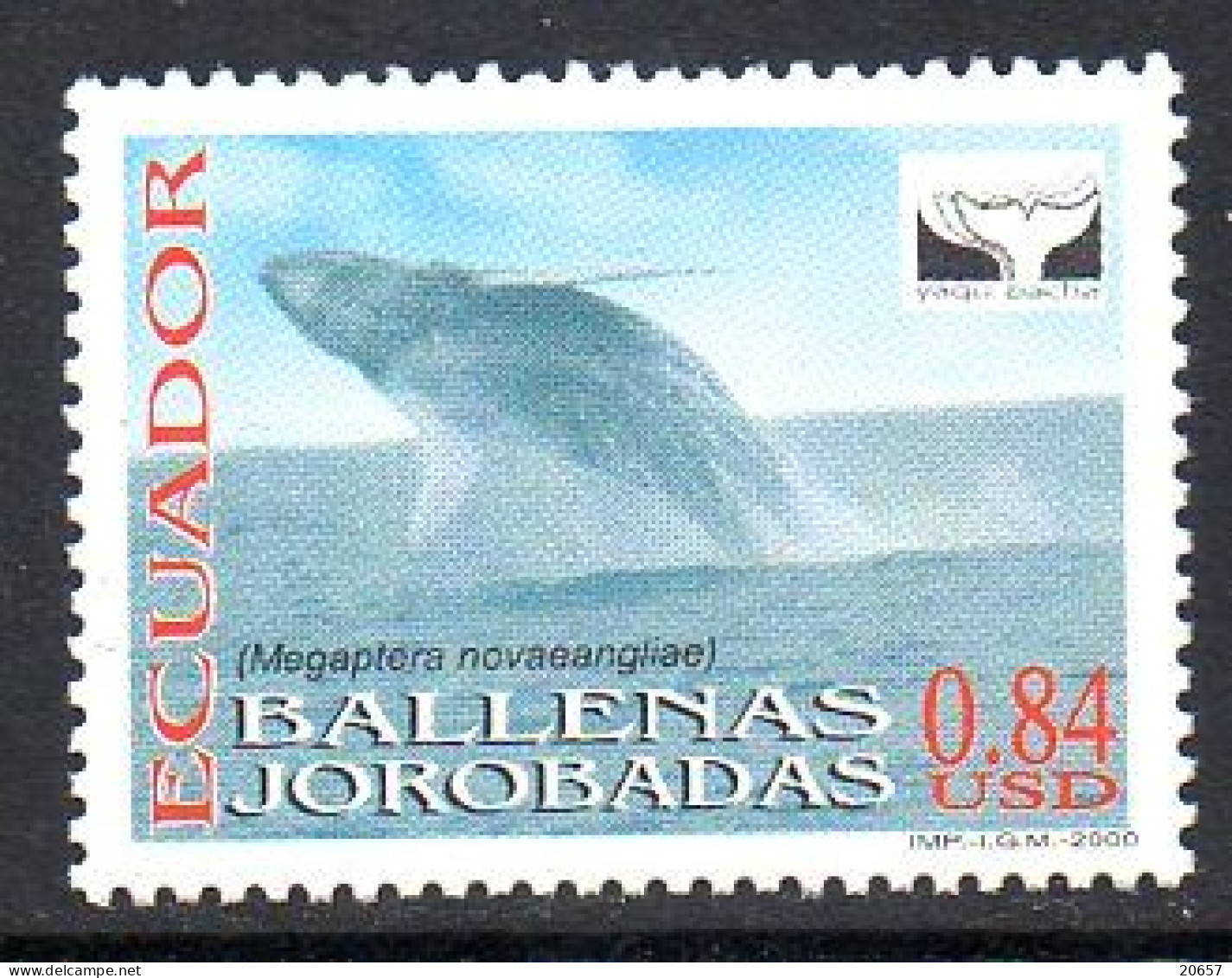 Equateur Ecuador 1506 Baleine à Bosse - Antarctische Fauna