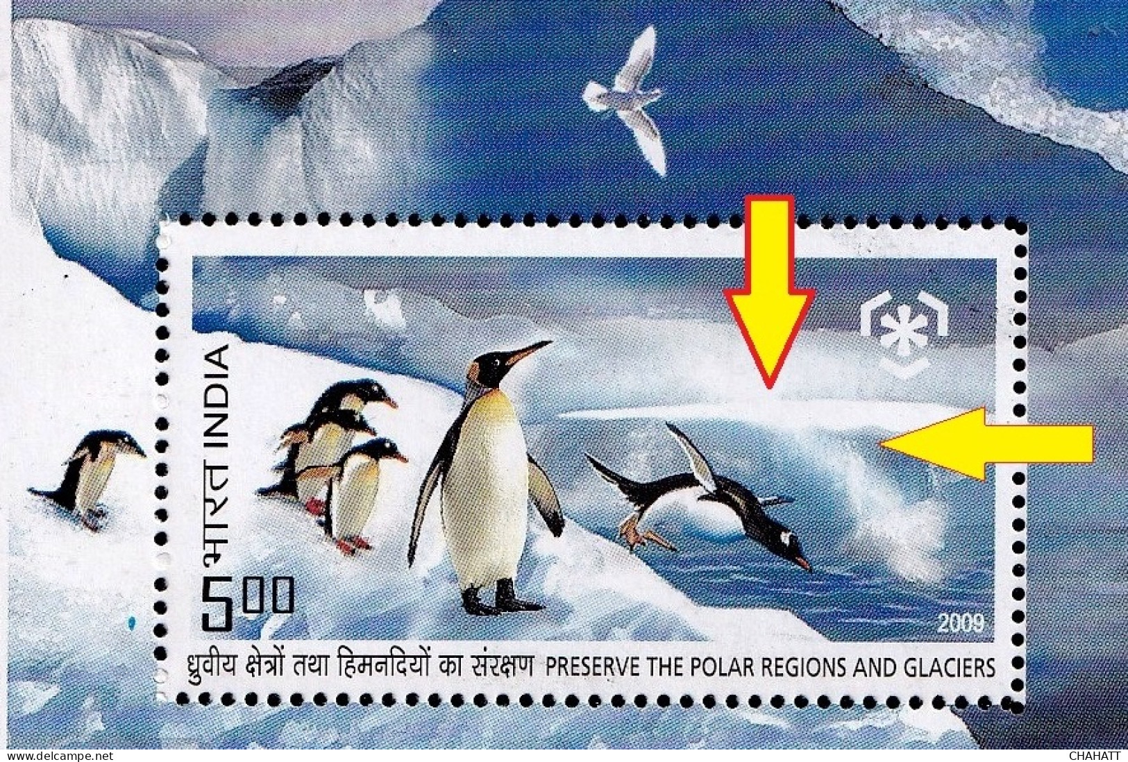 INDIA-2009-PRESERVE THE POLAR REGIONS AND GLACIERS -PENGUINS- POLAR BEAR- ERROR- DRYPRINT-MS-MNH-BR5  - Variétés Et Curiosités