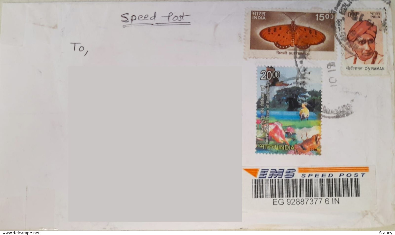 INDIA 2019 REGISTERED SPEED POST COVER Franked With BUTTERFLY, DUCK & C V RAMAN STAMP As Per Scan - Brieven En Documenten