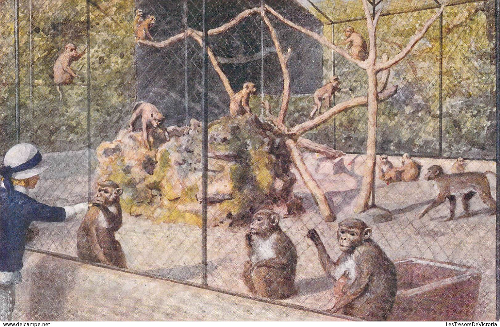 ANIMAUX &FAUNE - SINGES - Monkey House At The Zoological Gardens London - Carte Postale Ancienne - Apen