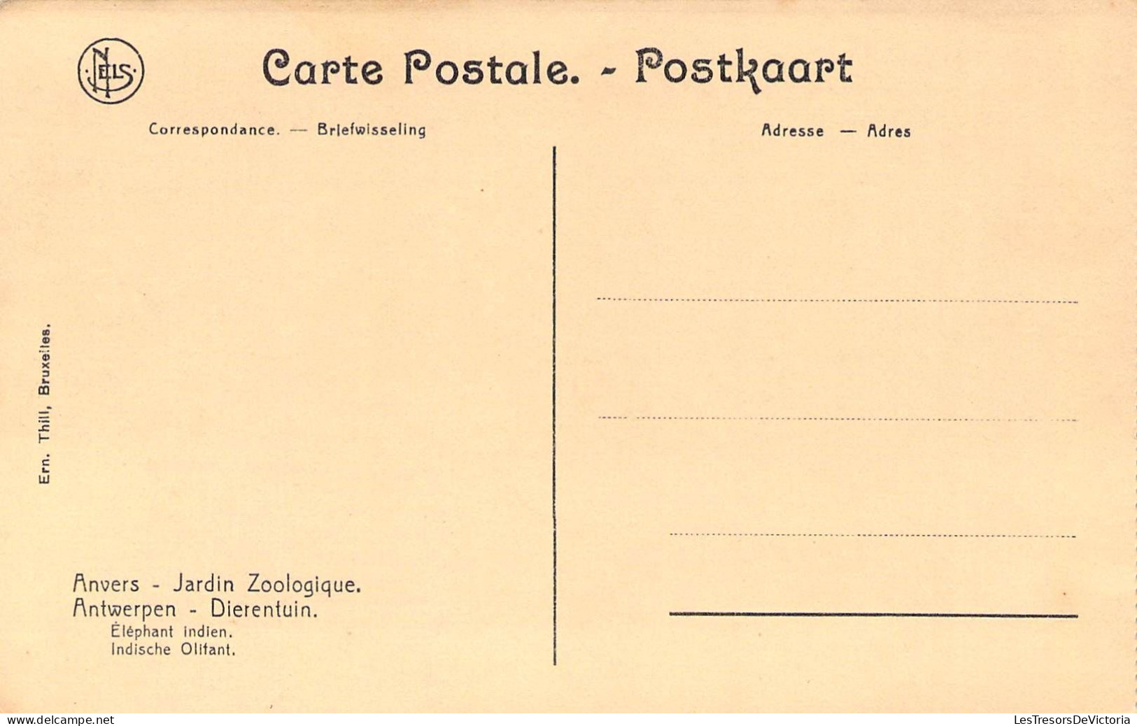 ANIMAUX &FAUNE - ELEPHANTS - Jardin Zoologique Anvers - Carte Carnet - Carte Postale Ancienne - Éléphants
