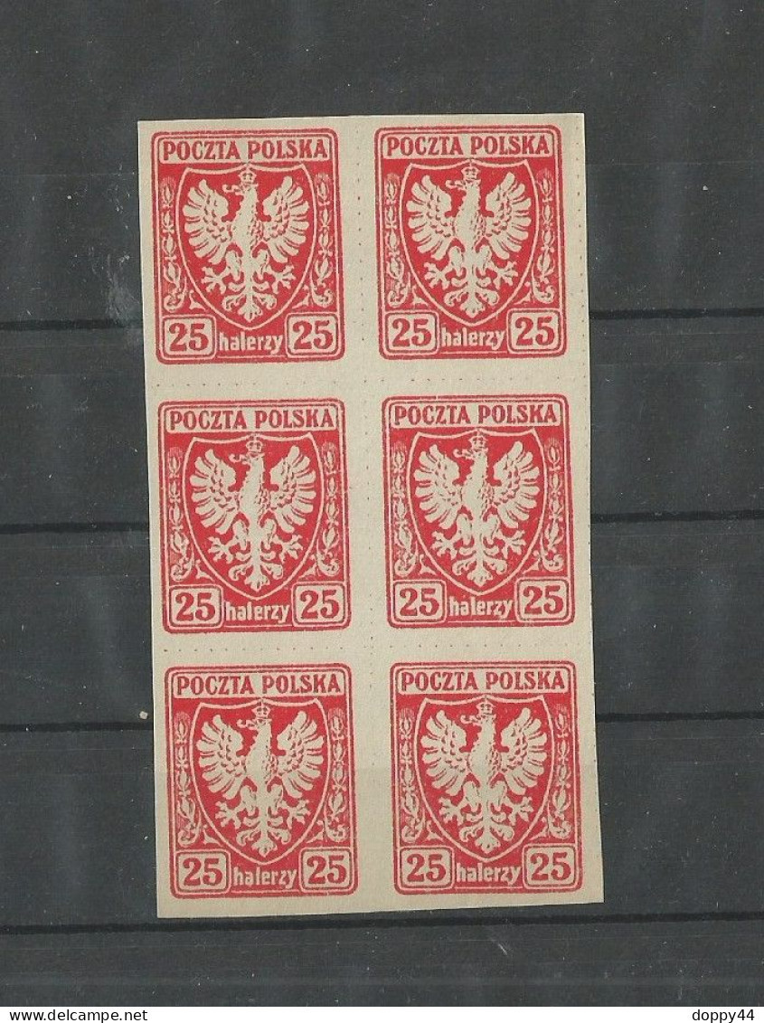 POLOGNE N°143 BLOC DE 6 ND NEUF  SUPERBE. - Ongebruikt