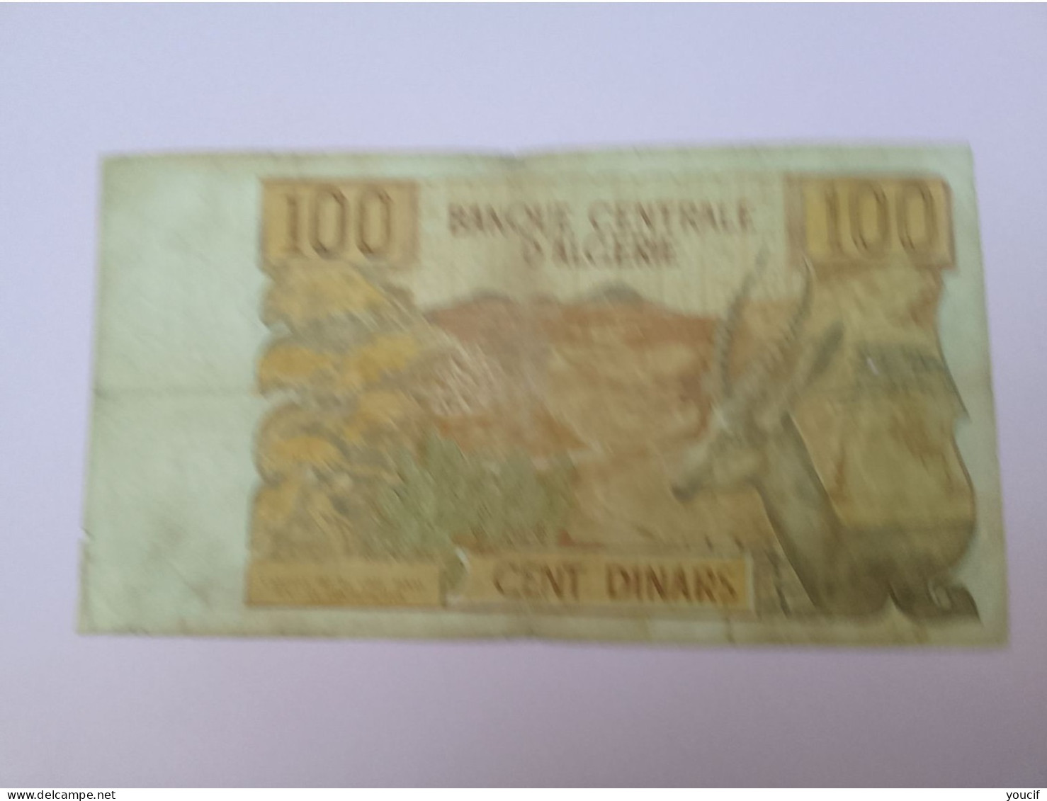 Billet De Banque D Algerie 100 Dinars 01 Novembre 1970 - Algerien