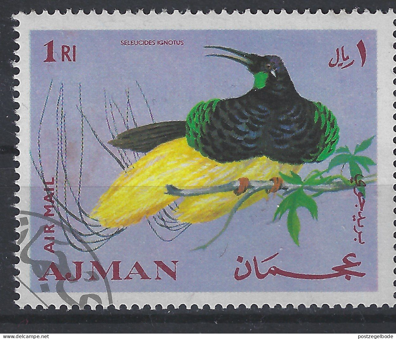 Ajman Used ; Paradijsvogel Bird Of Paradise Oiseau De Paradis Ave Del Paraiso Vogel Bird Ave Oiseau - Perroquets & Tropicaux