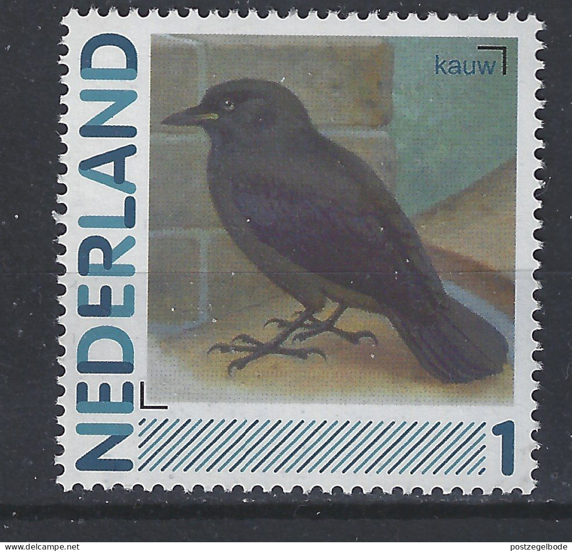 Netherlands Nederland Pays Bas Holanda Niederlande MNH ; Kraai Kauw Crow Corbeau Cuervo Vogel Ave Bird Oiseau - Cuco, Cuclillos