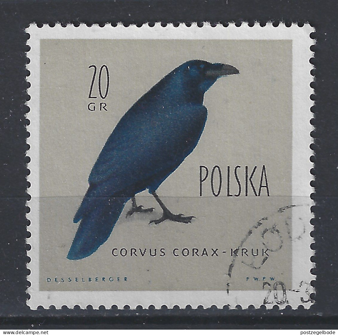 Polen Poland Pologne Used ; Kraai Kauw Crow Corbeau Cuervo Vogel Ave Bird Oiseau - Coucous, Touracos