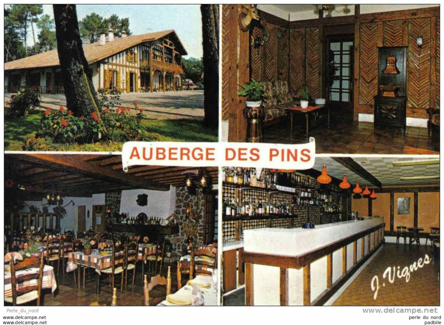 Carte Postale 40. Sabres Auberge Des Pins Au Milieu De La Foret Trés Beau Plan - Sabres