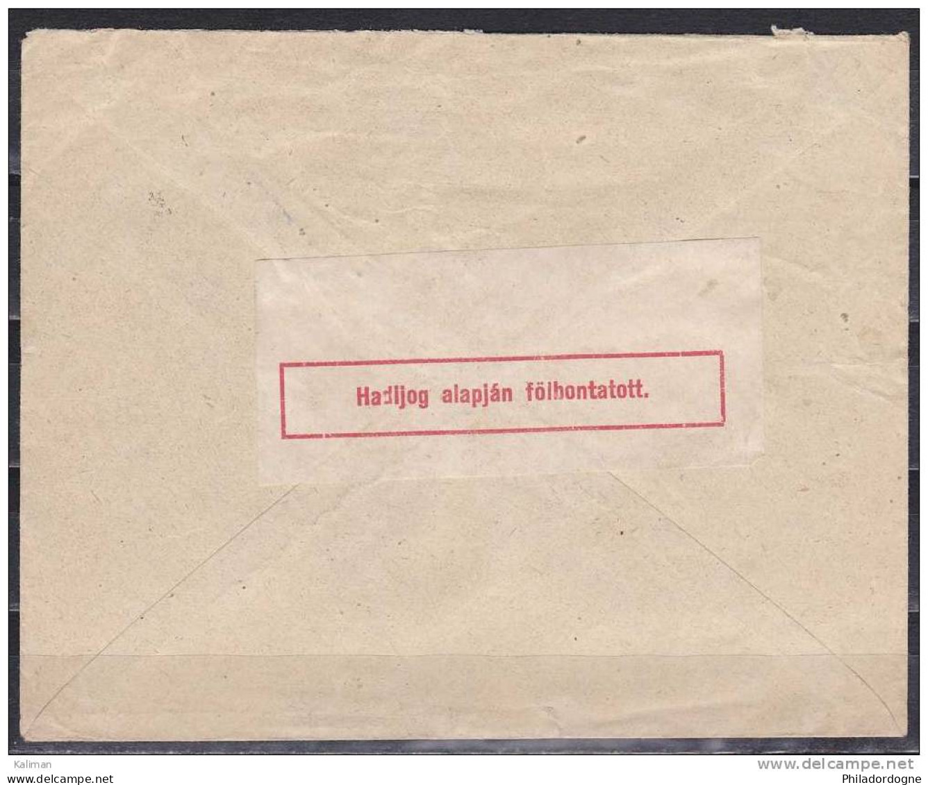 Hongrie/serbie Enveloppe Censurée A Définir Pour Le Danemark - Postmark Collection