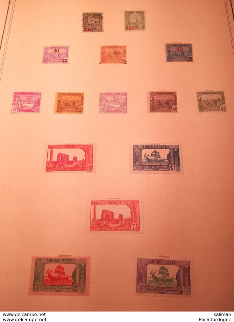 Tunisie - Ancienne Collection Montée sur feuilles 1888 /1930 Tous états xx x (x) obl - Cote + de 500 euros