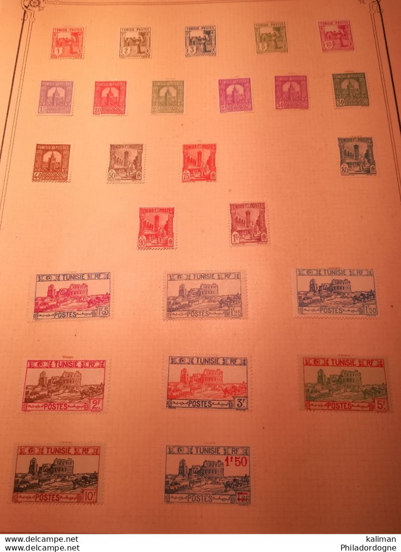 Tunisie - Ancienne Collection Montée sur feuilles 1888 /1930 Tous états xx x (x) obl - Cote + de 500 euros