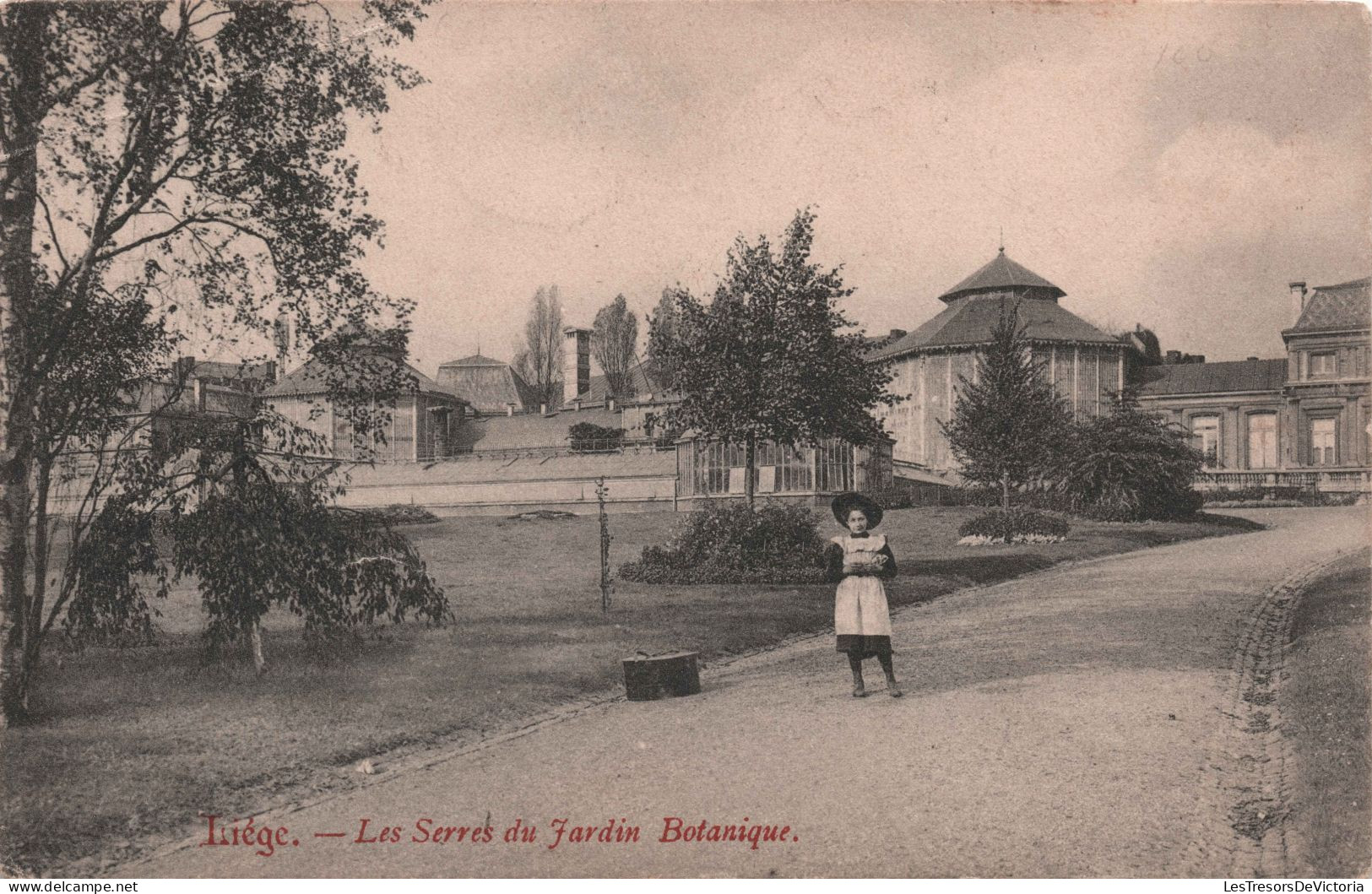 BELGIQUE - Liege - Les Serres Du Jardin Botanique - Carte Postale Ancienne - Liege