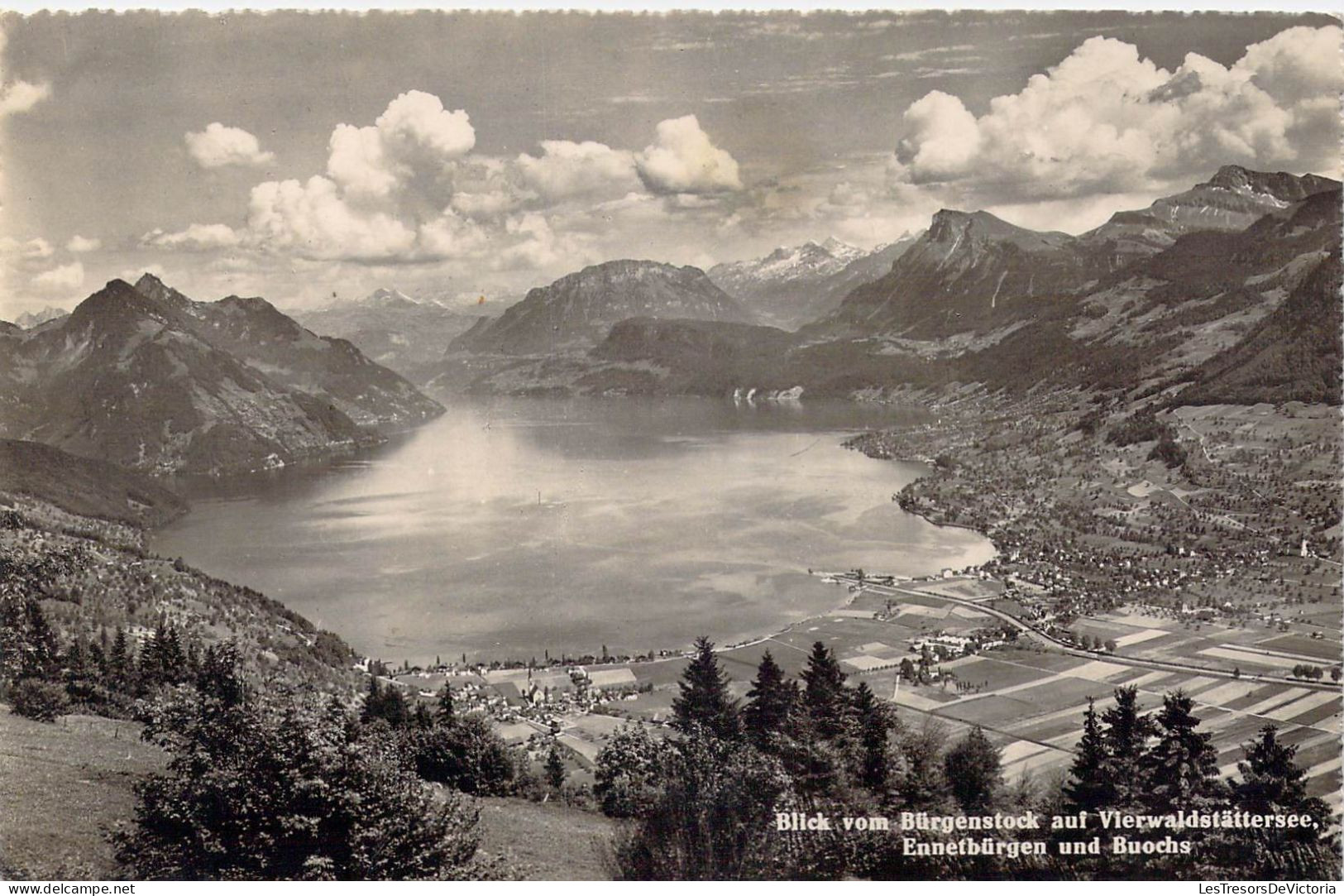 SUISSE - Blick Vom Bürgenstock Aui Vierwaldstattersee - Ennetburgen Und Buochs - Carte Postale Ancienne - Wald