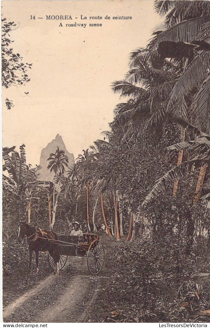 Polynésie Française - Moorea - La Route De Ceinture - A Roadway Scene - Colorisé - Attelage -  Carte Postale Ancienne - Polinesia Francesa