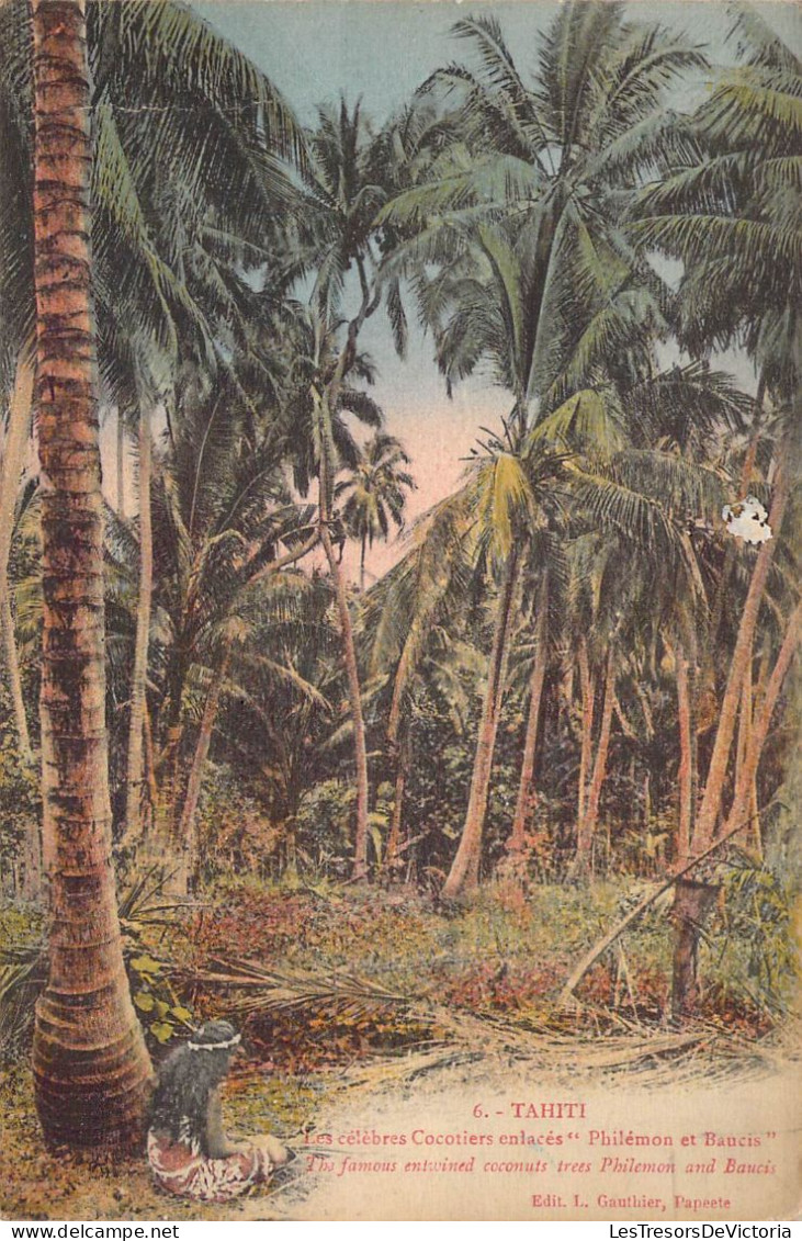 Tahiti - Les Célèbres Cocotiers Enlacés Philémon Et Baucis - Edit. L. Gauthier - Colorisé -  Carte Postale Ancienne - Tahiti