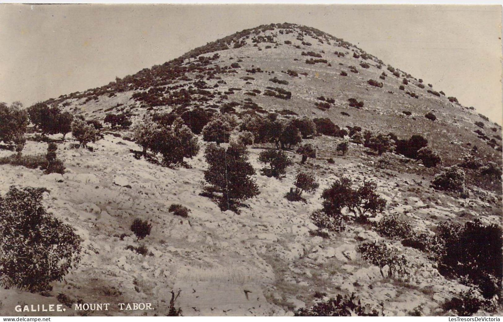 ISRAEL - Galilee - Mount Tabor - Carte Postale Ancienne - Israël