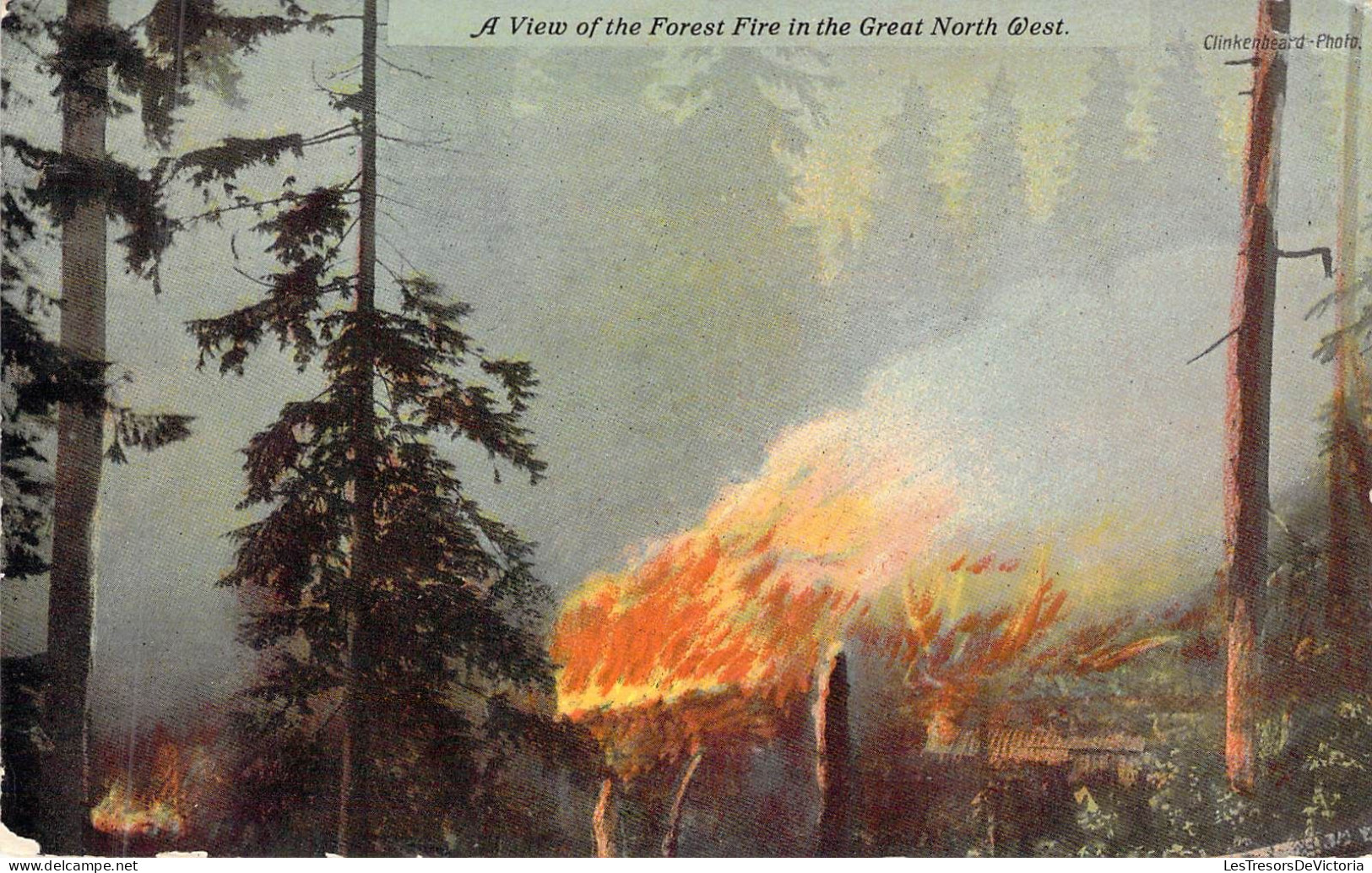 CANADA - A View Of The Forest Fire In The Great North West  - Carte Postale Ancienne - Ohne Zuordnung