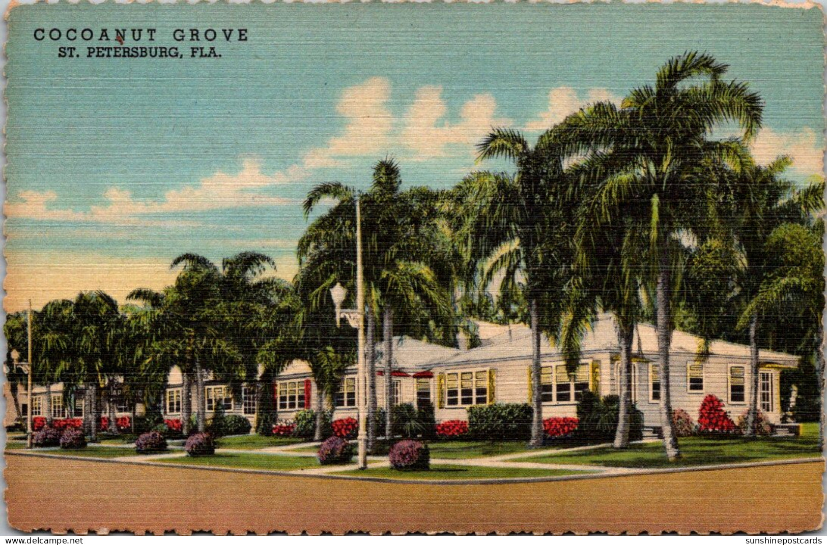 Florida St Petersburg Cocoanut Grove Motor Hotel Curteich - St Petersburg