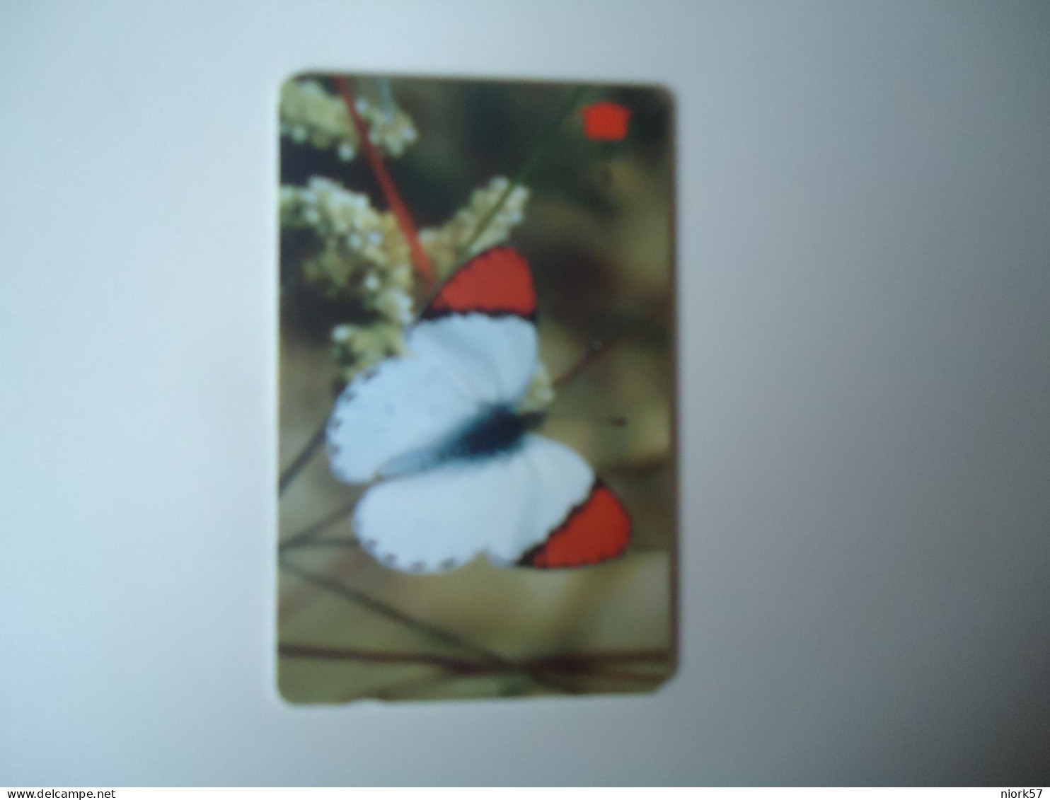 OMAN  USED   PHONECARDS  BUTTERFLIES - Mariposas