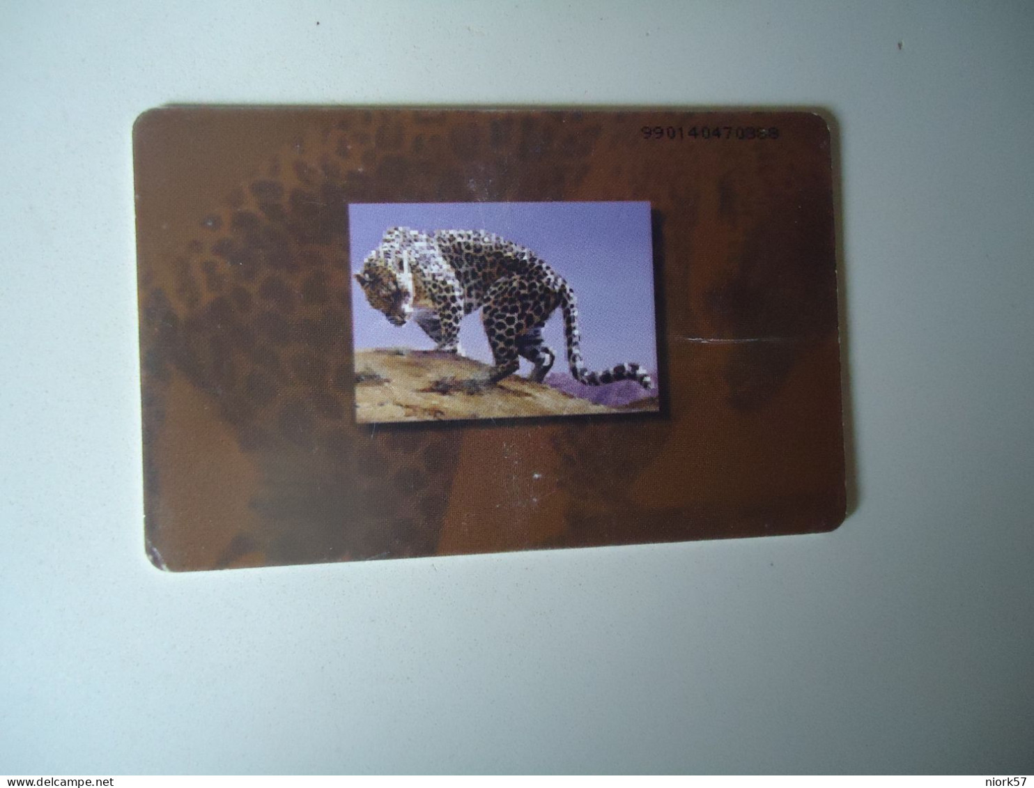 UNITED  ARAB EMIRATES  UAE USED CARDS ANIMALS TIGER - Giungla