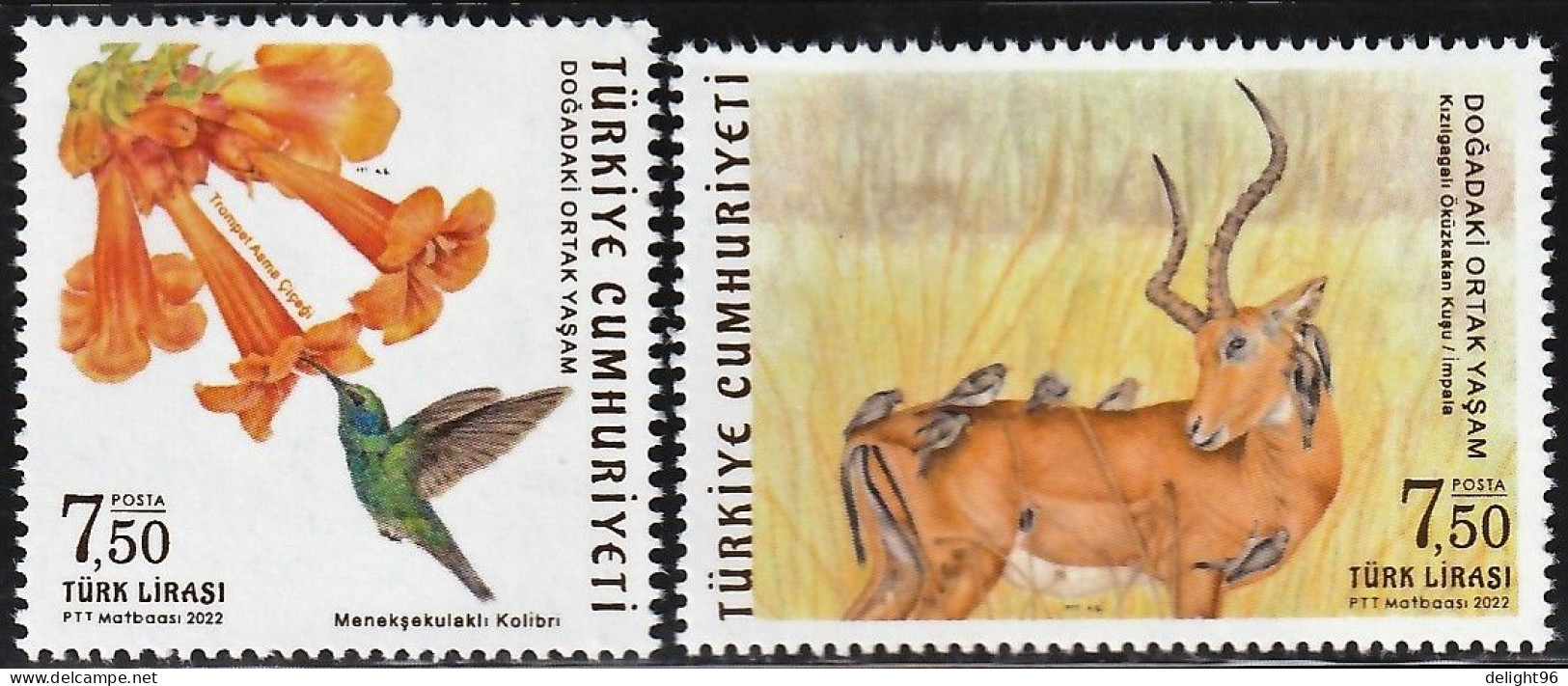 2022 Turkey Symbiosis In Nature: Violetear Colibri, Trumpet Creeper, Red-billed Oxpecker, Impala  Set (** / MNH / UMM) - Colibris