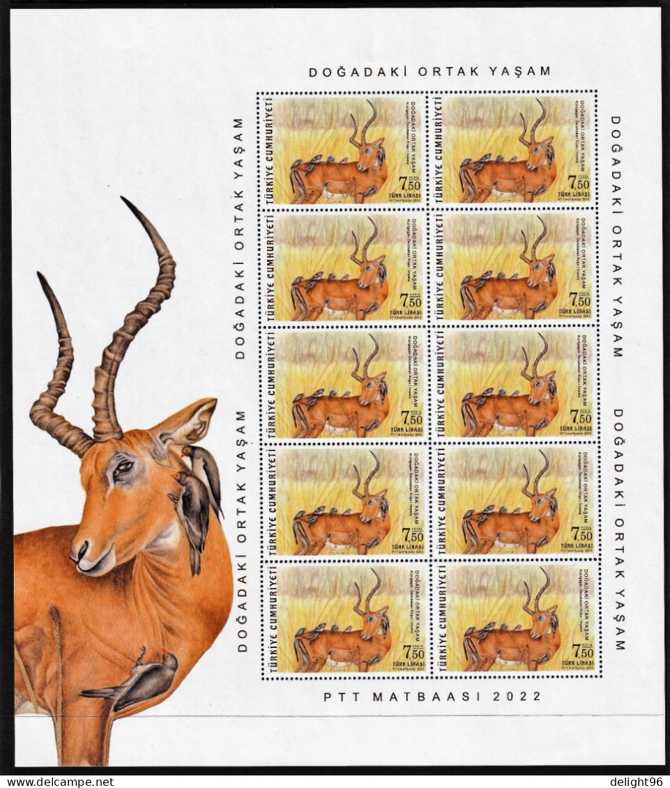 2022 Turkey Symbiosis In Nature: Violetear Colibri, Trumpet Creeper, Red-billed Oxpecker, Impala Sheetlets (**/MNH/UMM) - Colibris