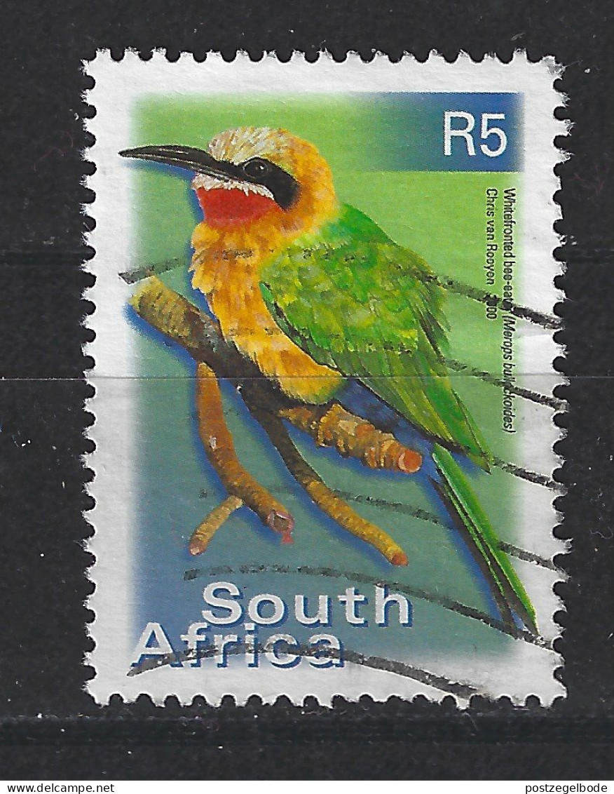 Zuid Africa South Africa Used ; Bijeneter Honeyeater Abejaruco Guepier Vogel Bird Ave Oiseau - Colibris