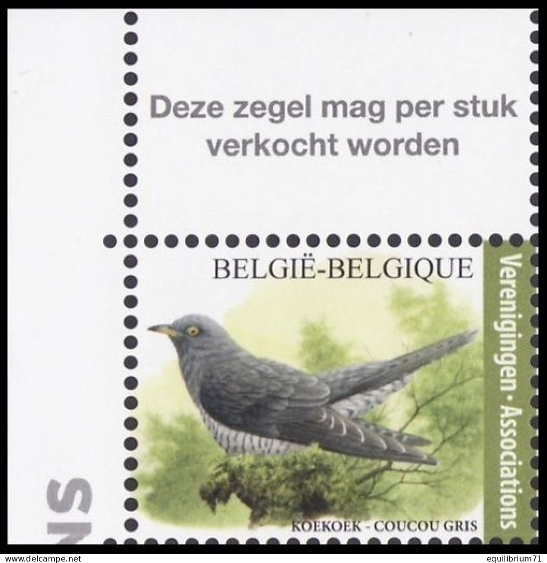 4991** - Coucou Gris / Grijze Koekoek / Grauer Kuckuck - BUZIN - Cuckoos & Turacos