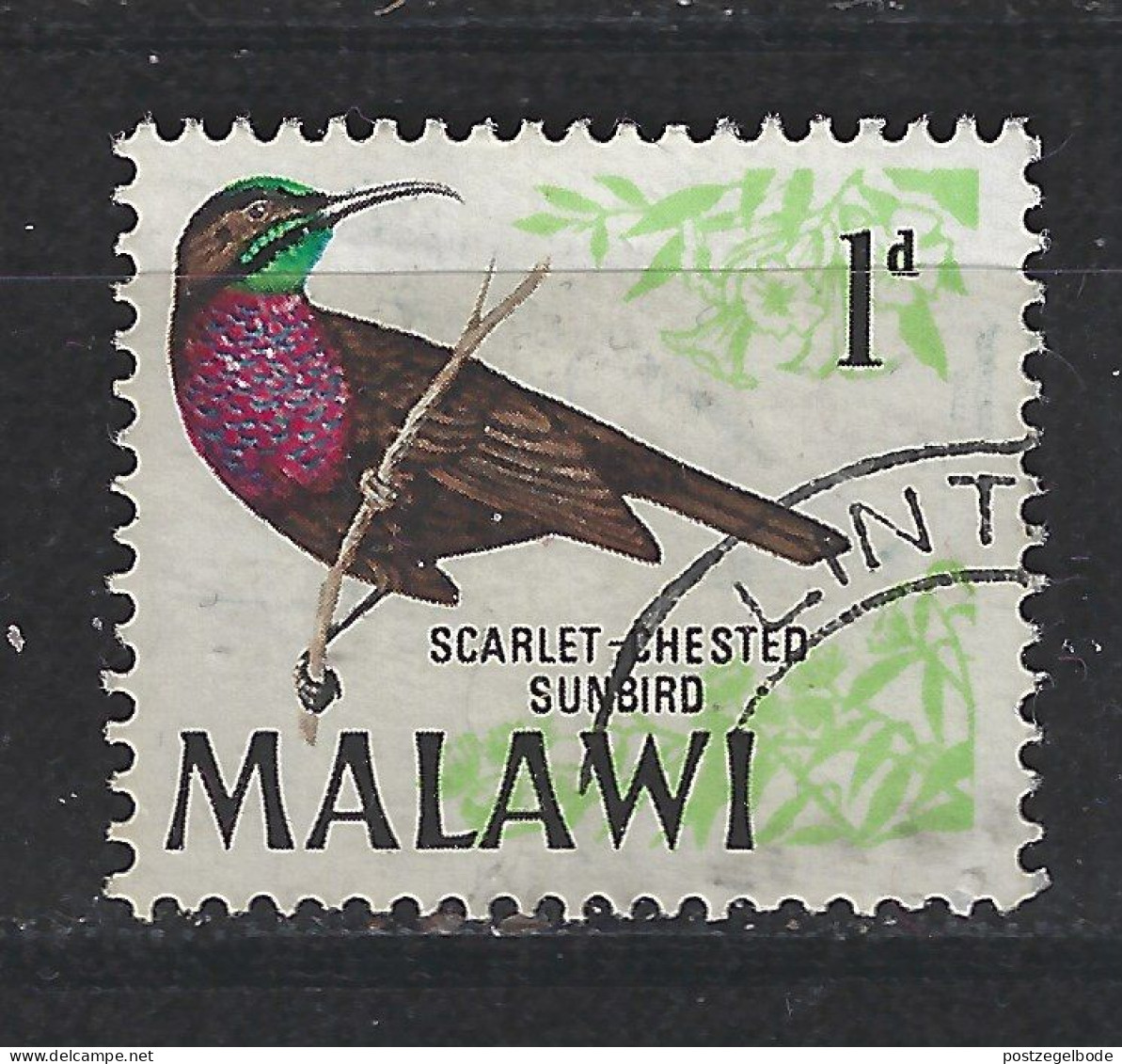 Malawi Used ; Kolibri Honeybird Colibri Sunbird Vogel Oiseau Ave Vogel Bird - Colibris