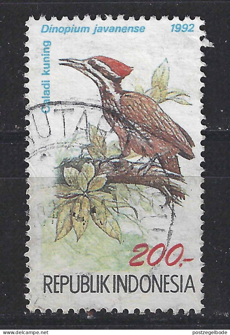 Indonesie Indonesia Used Specht Pic Pico Woodpecker Vogel Bird Ave Oiseau - Piciformes (pájaros Carpinteros)
