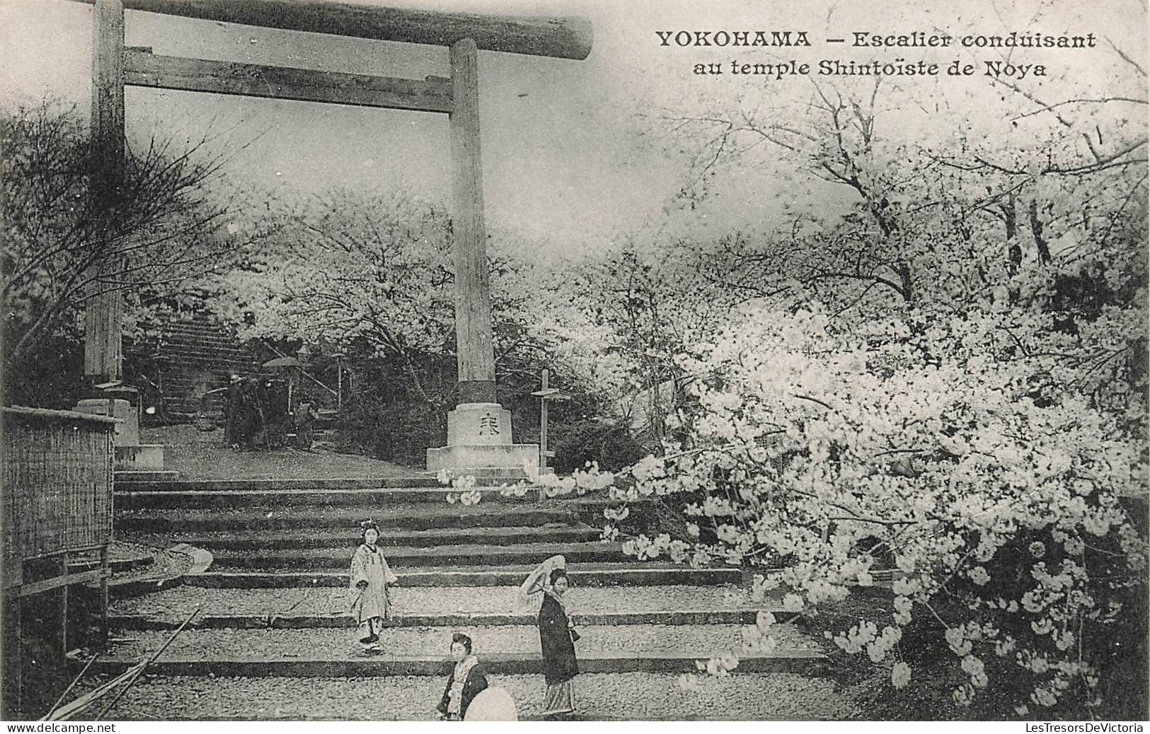 Japon - Yokohama - Escalier Conduisant Au Temple Shintoïste De Noya - Animé  -  Carte Postale Ancienne - Yokohama