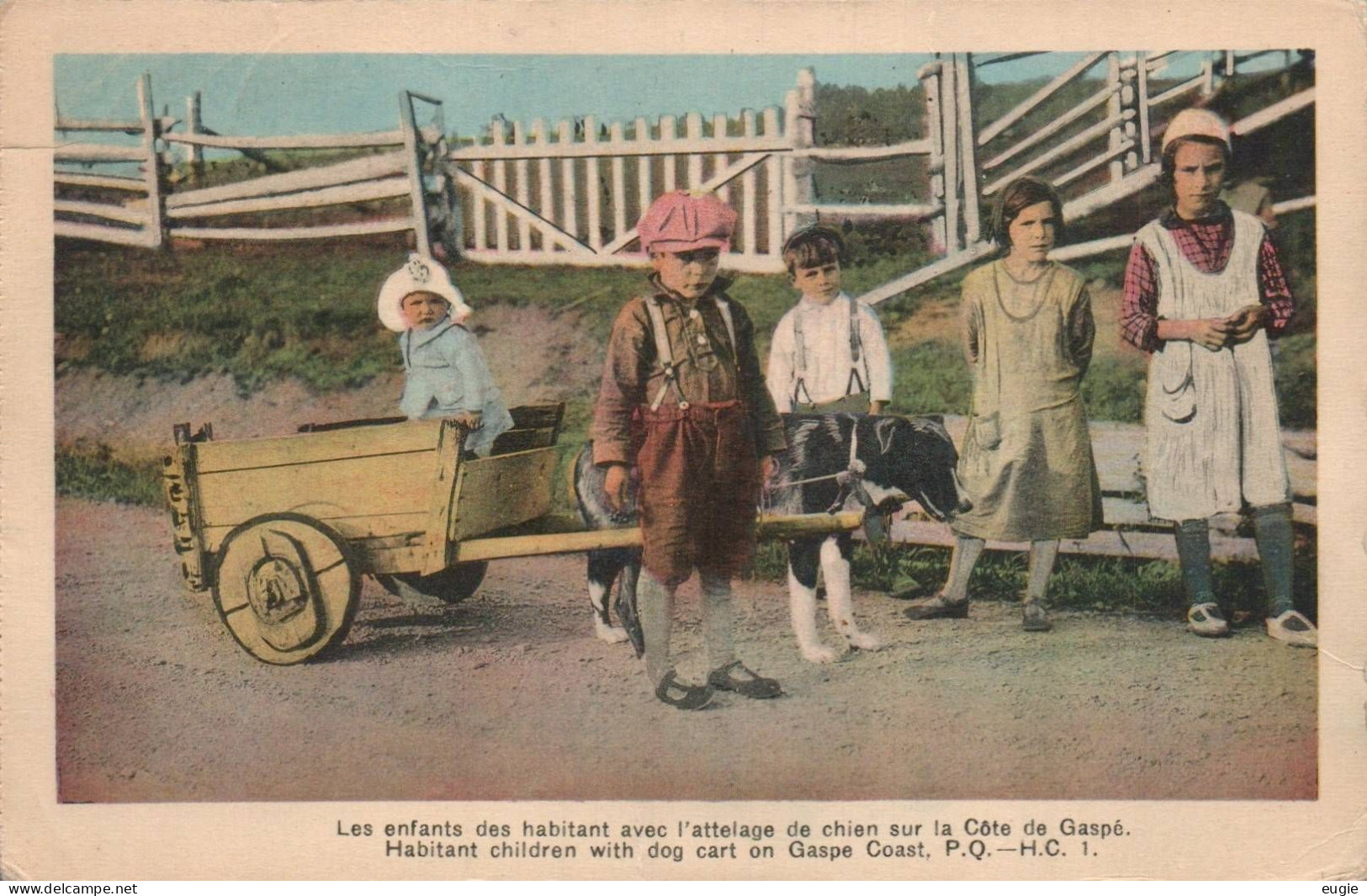 1921/ Les Enfants Des Habitant Avec L'attelage De Chien Sur La Cote De Gaspe - Gaspé